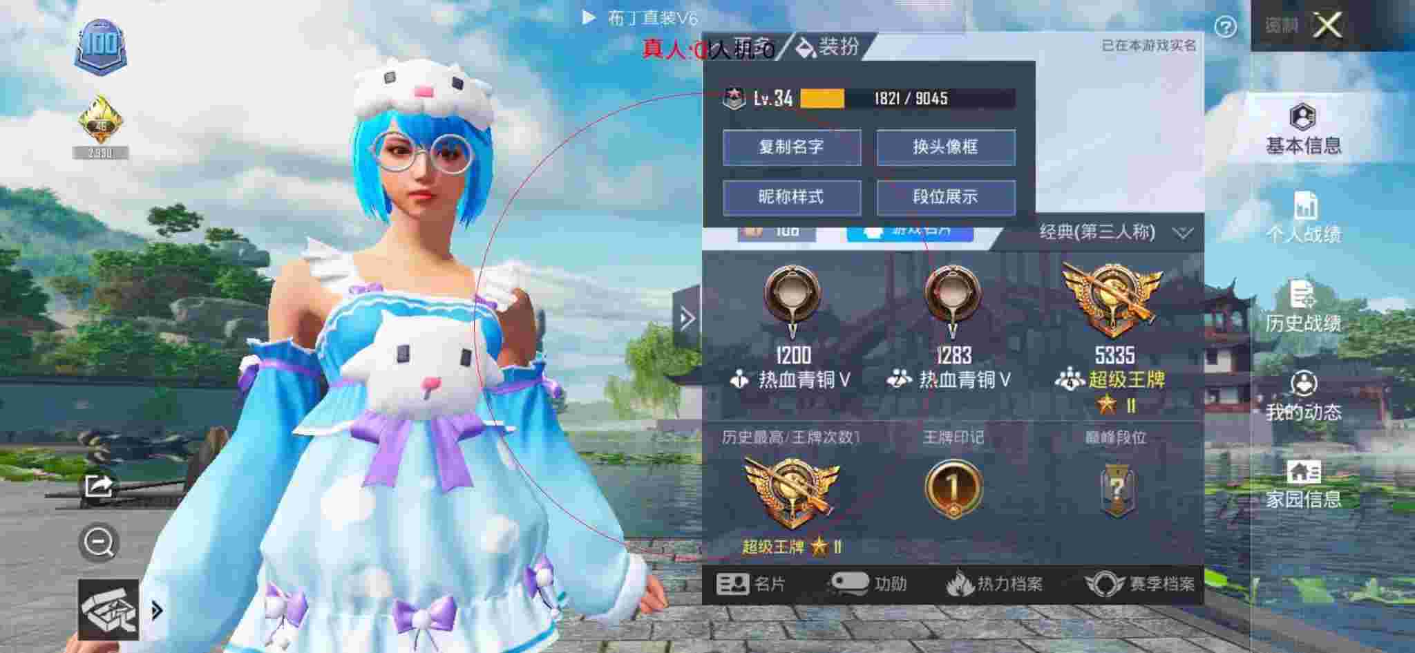 和平精英布丁直装透视 - 豪迪企业版辅助预览图